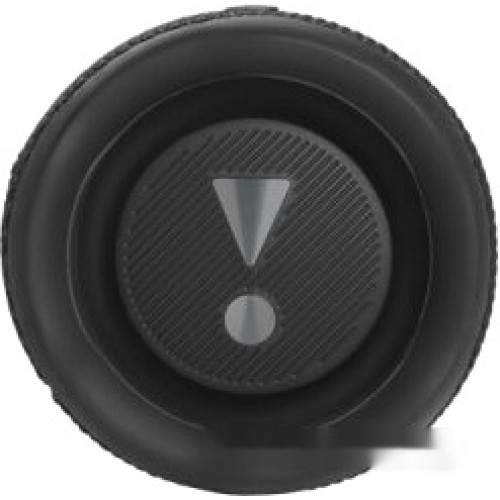 Портативная акустика JBL Flip 6 (черный)