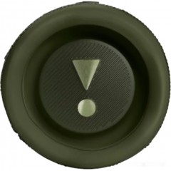 Портативная акустика JBL Flip 6 (зеленый)