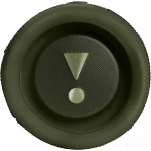 Портативная акустика JBL Flip 6 (зеленый)
