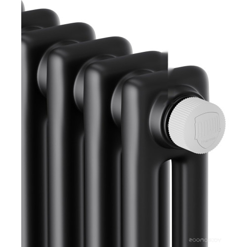 Радиатор Royal Thermo Insignia VC2180 - 04 секций RAL9005m
