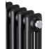 Радиатор Royal Thermo Insignia C2180 - 12 секций RAL9005m