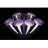 Пылесос Dyson V11 Absolute Pro