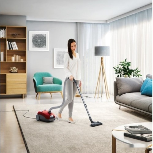 Пылесос Electrolux EEG43WR