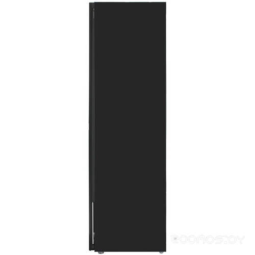 Сушильная машина Samsung DF24CB9900CRLP