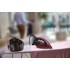 Утюг Tefal SV7130E0