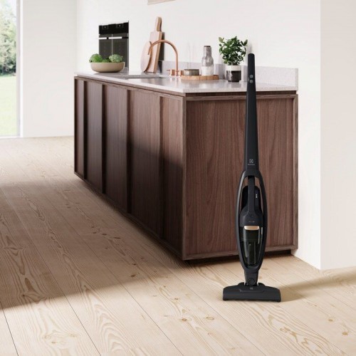 Пылесос Electrolux Well Q6 WQ61-42GG