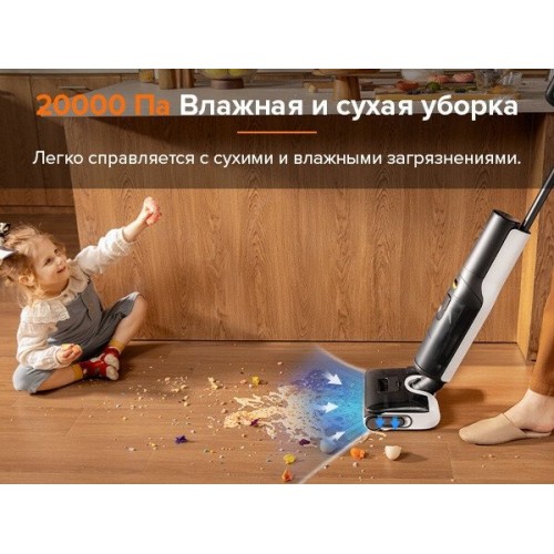 Вертикальный моющий пылесос Roborock F25 WD5M1A (черный)
