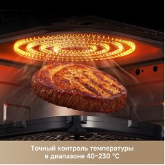 Аэрогриль Trouver Air Fryer Metalish AF10 Pro (черный)