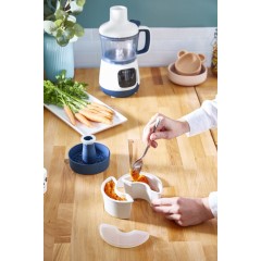 Блендер Moulinex Yummy Gourmet DD55W110