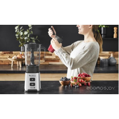 Блендер Moulinex LM17GD10