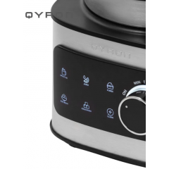 Блендер QYRON BS602