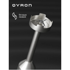 Блендер QYRON BH601