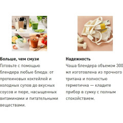Блендер Moulinex LM1C0210