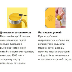 Блендер Moulinex LM1C0210