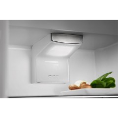 Холодильник с морозильником Electrolux RNS9TE19S