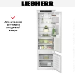 Холодильник Liebherr ICBSd 5122 Plus