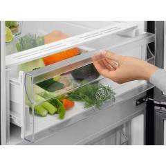 Холодильник Electrolux LNT5ME32U1