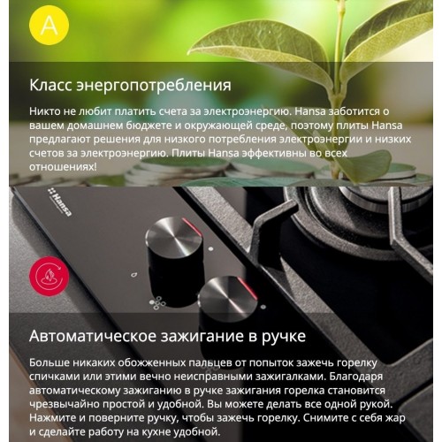 Плита Hansa FCMW59329