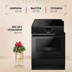 Плита Hansa FCCM69225H