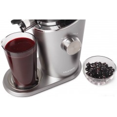 Соковыжималка Hurom H-100 (серебристый)