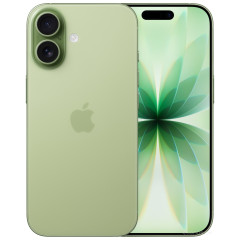 Телефон Apple iPhone 17 Dual eSIM 256GB (зеленый)