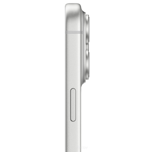 Телефон Apple iPhone 17 Pro Max 256GB (серебристый)