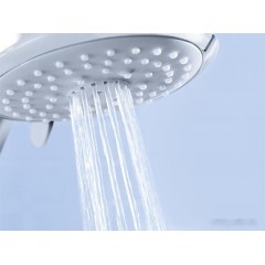 Душевая лейка Grohe Euphoria 110 Massage 27239001