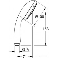 Душевая лейка Grohe New Tempesta 100 28261002