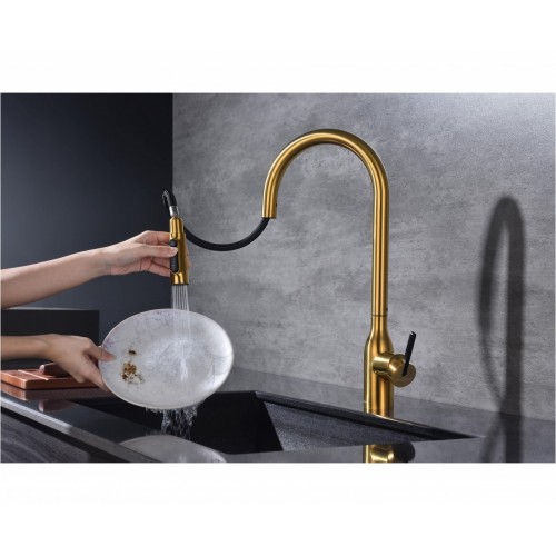 Смеситель Paulmark Universal Un213880-BG (золото/брашированное золото)