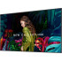 Информационная панель Samsung QB75C LH75QBCEBGCXCI