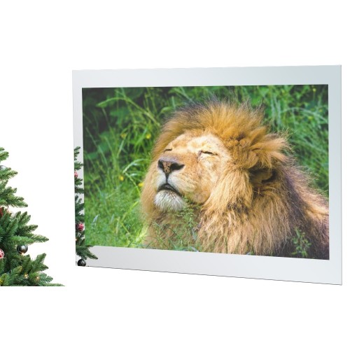 Телевизор AVEL AVS755SMFM (AVS755SM Magic Mirror)