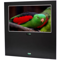 Телевизор AVEL Smart AVS220OF