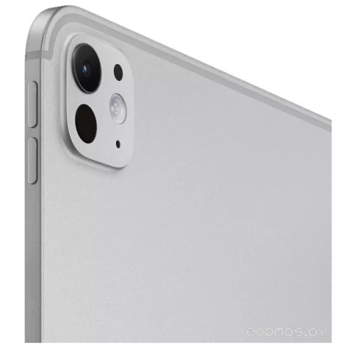 Apple iPad Pro 11" 2025 256GB серебристый