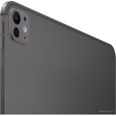 Планшет Apple iPad Pro 13